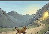 image 333
